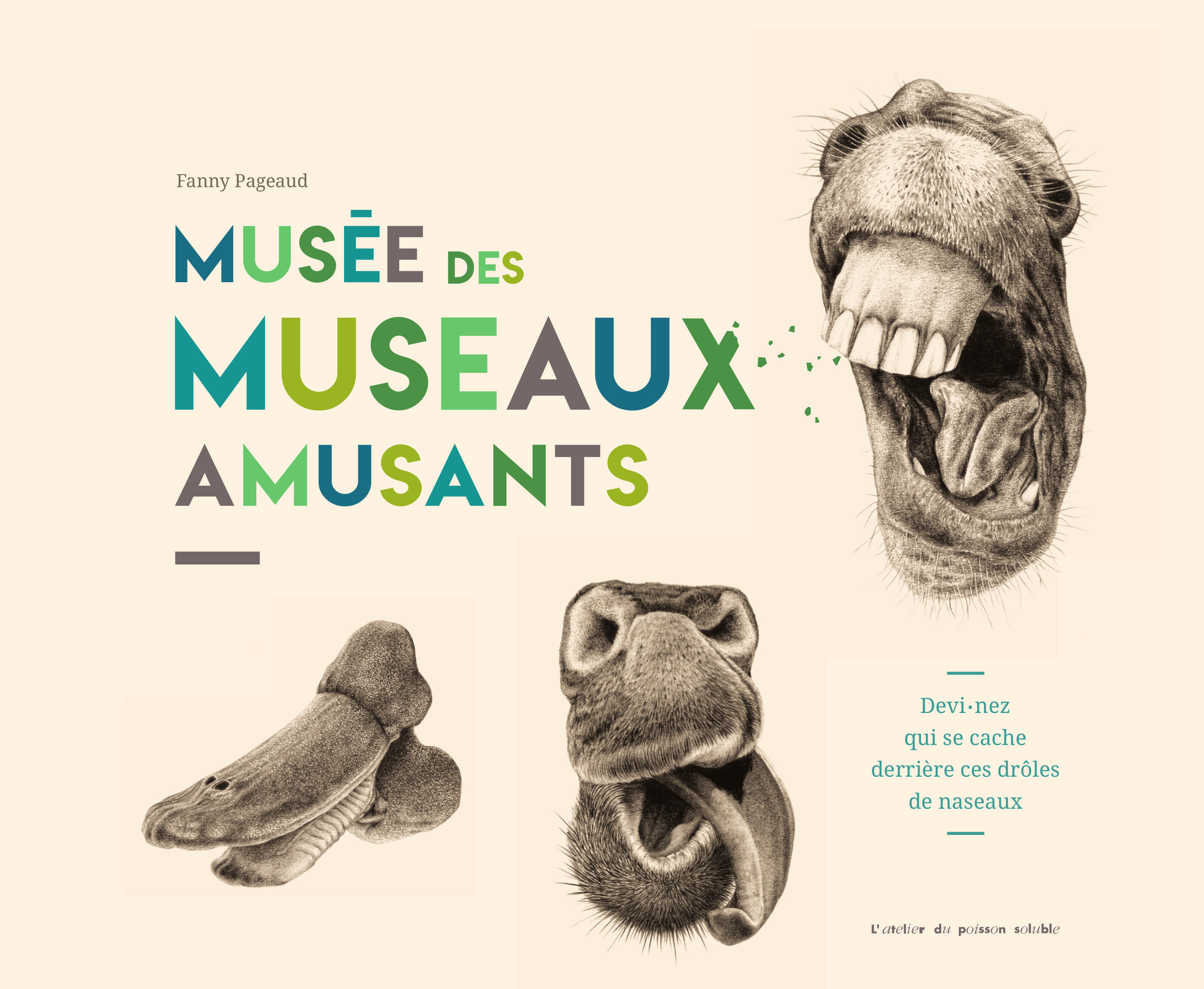 MUSEE DES MUSEAUX AMUSANTS
