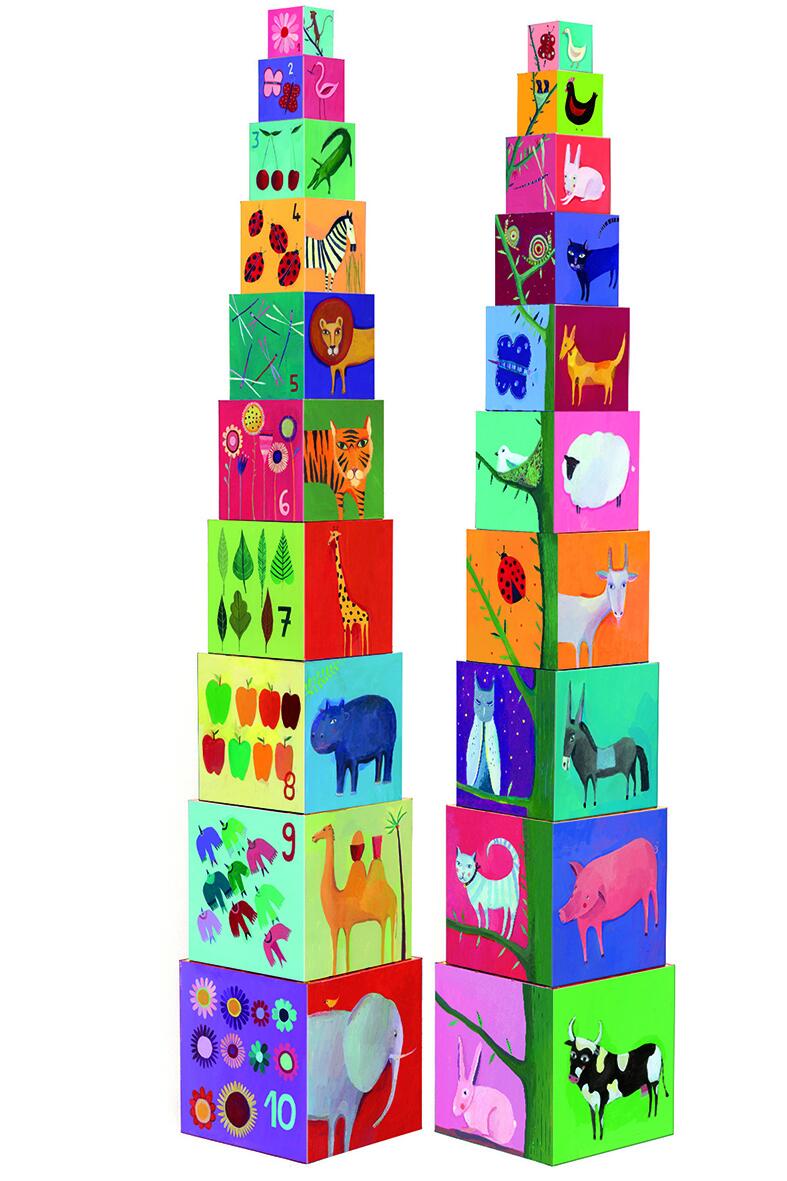 10 CUBES NATURE & ANIMAUX