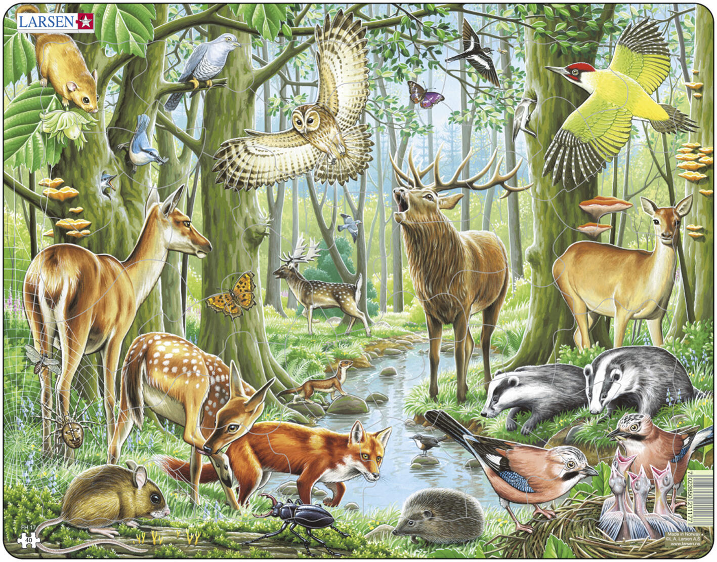 Forêt européenne et animaux