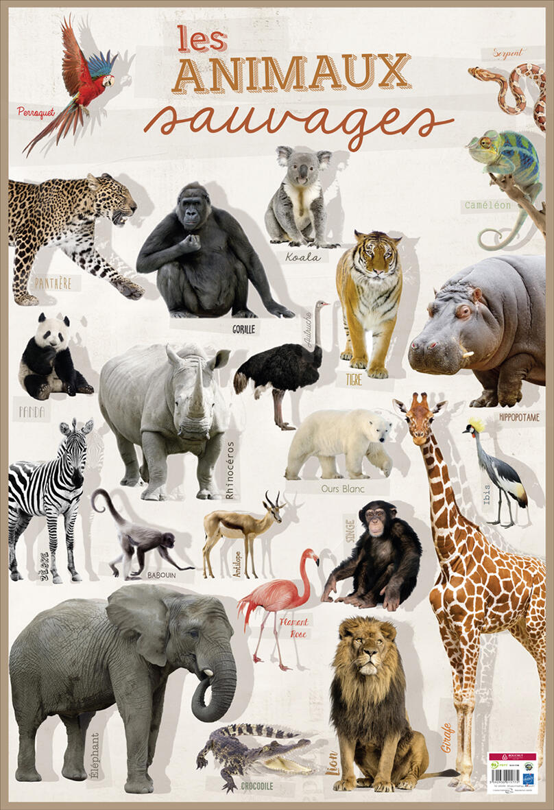 POSTER - Animaux sauvages