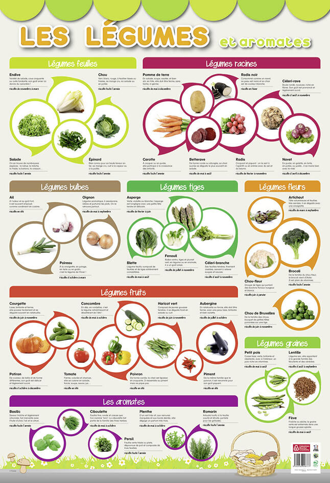Poster Légumes