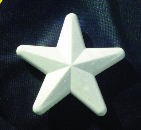 Sachet de 10 étoiles blanches - dimension 10 cm