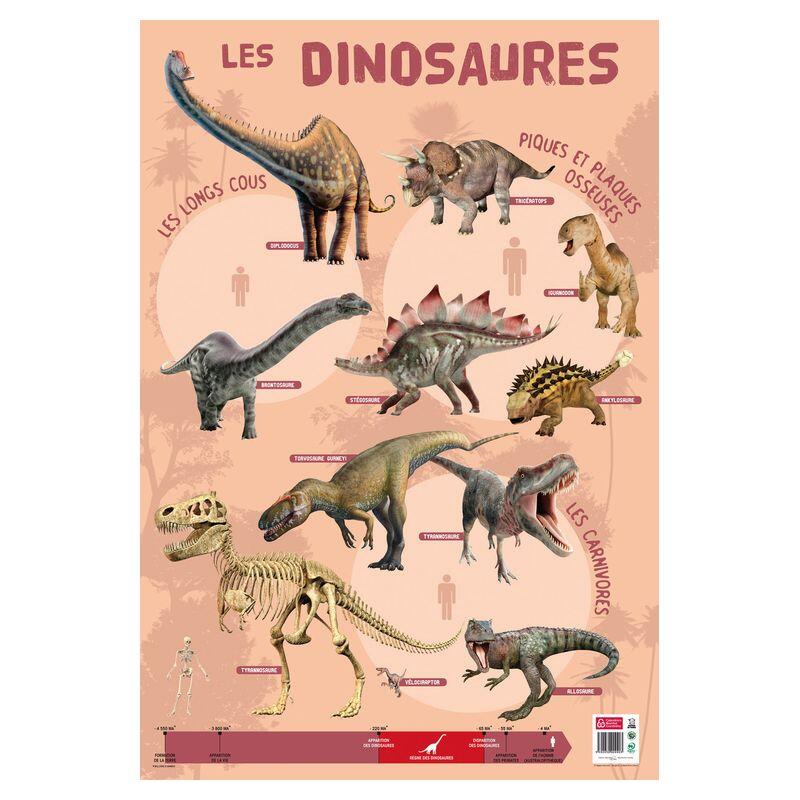 POSTER - LES DINOSAURES