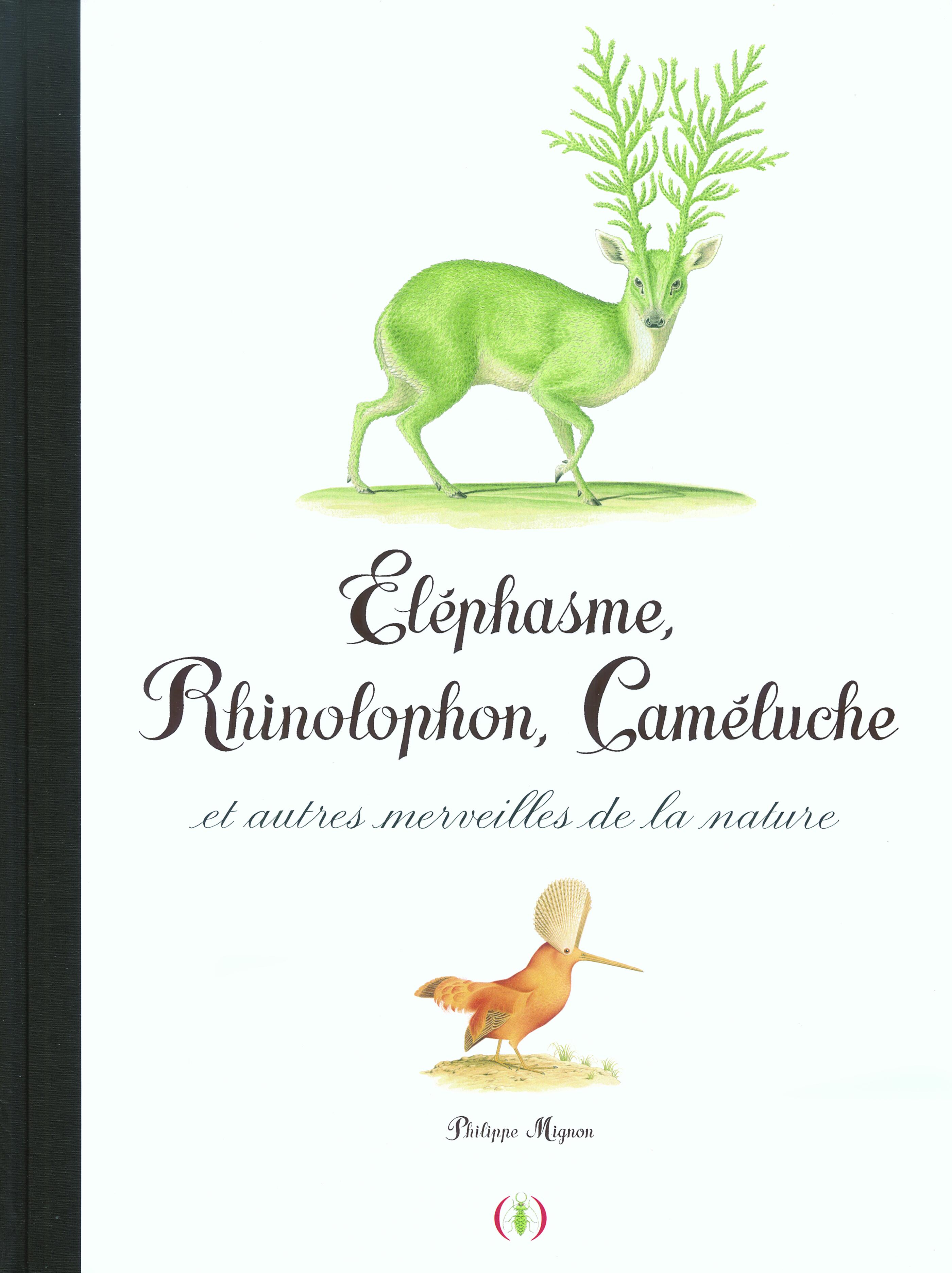 ELEPHASME, RHINOLOPHON, CAMELUCHE ET AUTRES MERVEILLES DE LA NATURE